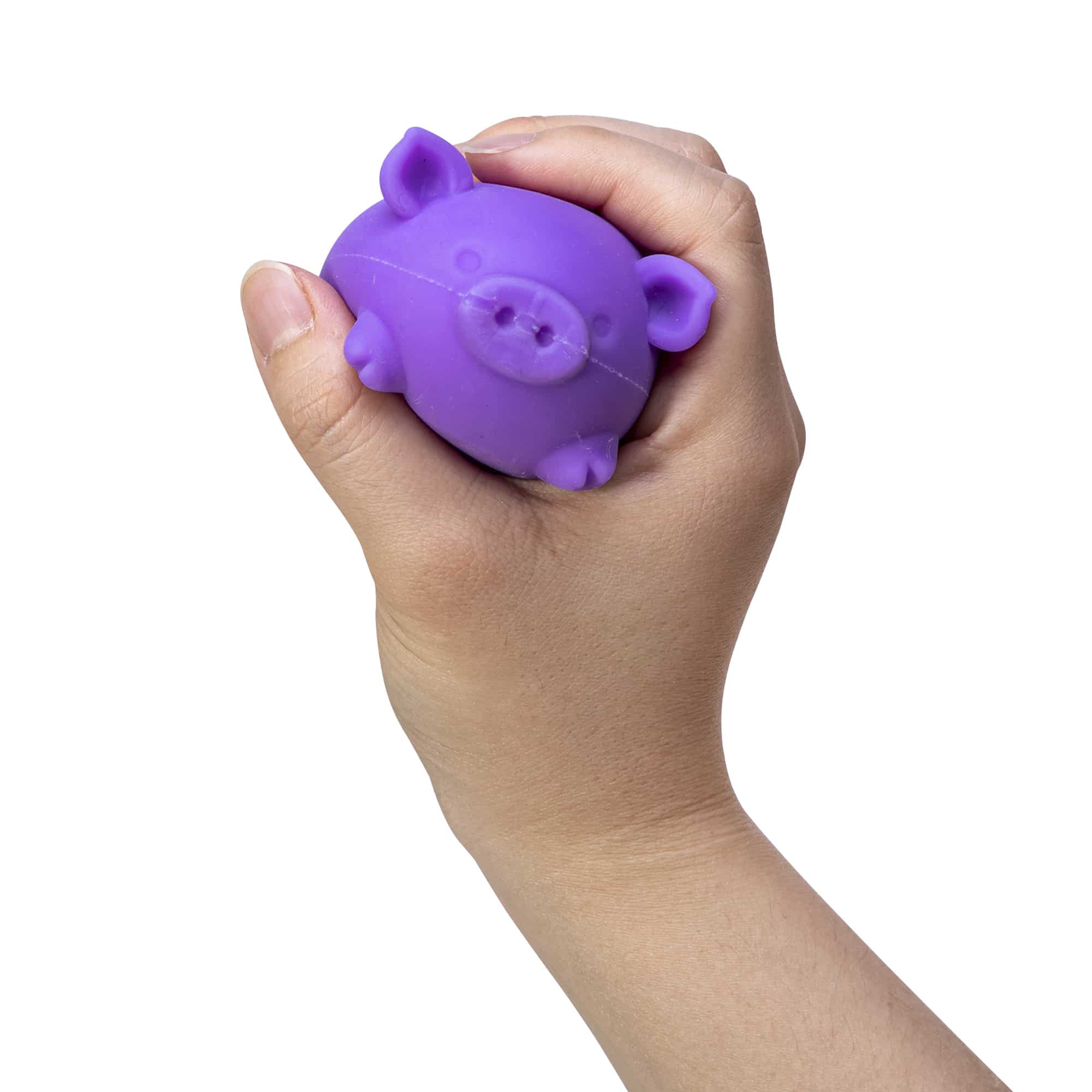Purrfectly Squishy NeeDoh Dig’ It Pig | Select Velvet Canopy - Dino Character Malt-Gel Filled Sensory Glob Detail
