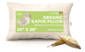 Orthopedic Support Kapok 20x26" Standard Bed Pillow – Organic Cotton Fabric Soft Sleeping Pillow - Made in USA - Decorative Throw Pillow Cushion for Sofa & Bed - Default Title