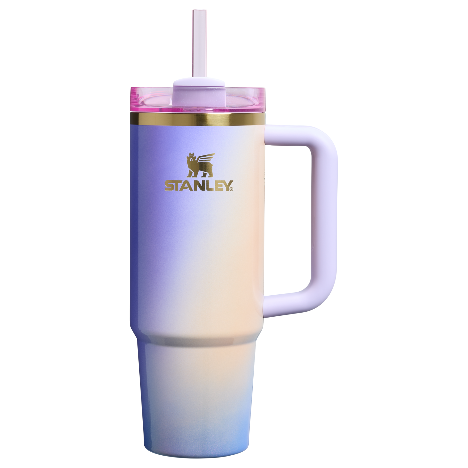 Splash-Resistant FlowState The Wicked for Good Quencher H2.0 Flowstate Tumbler D246P - FlowState 3-Position Lid Insulated Travel Mug - Glinda For Good